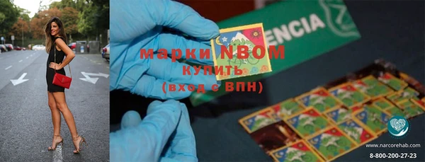 ПСИЛОЦИБИНОВЫЕ ГРИБЫ Белоозёрский