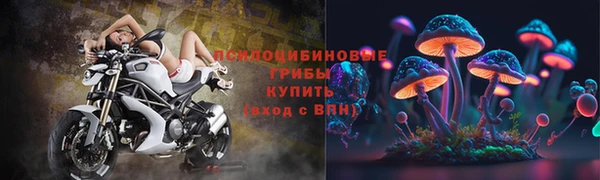 мдпв Беломорск