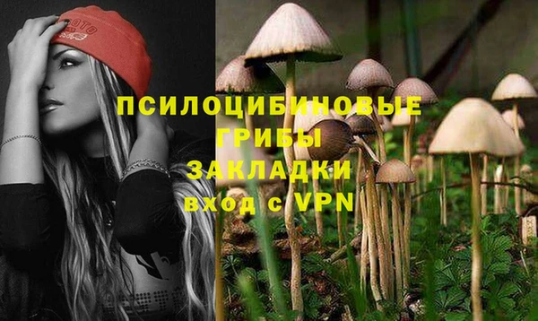 мдпв Беломорск