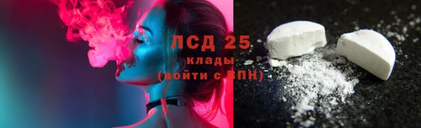 ПСИЛОЦИБИНОВЫЕ ГРИБЫ Белоозёрский