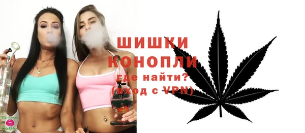 ПСИЛОЦИБИНОВЫЕ ГРИБЫ Белоозёрский