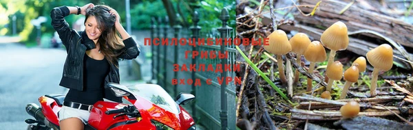 мдпв Беломорск