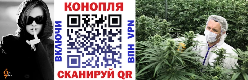 Марихуана тримм  закладки  Волосово 
